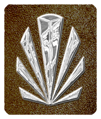 DF35-602-SL-SH-BR Silver Sunburst Shimmer Brown